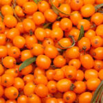 Sea Buckthorn Juice